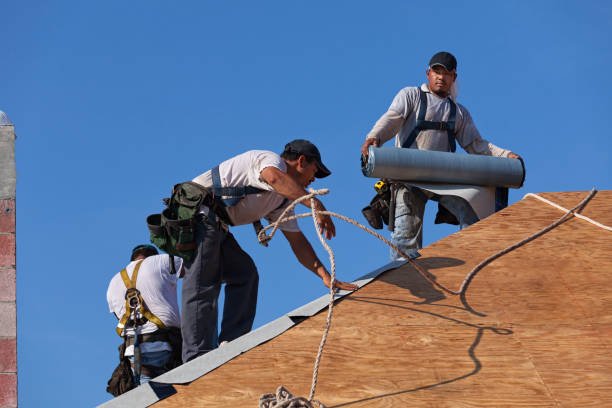Best Best Roofing Contractors  in Fairmount, TN