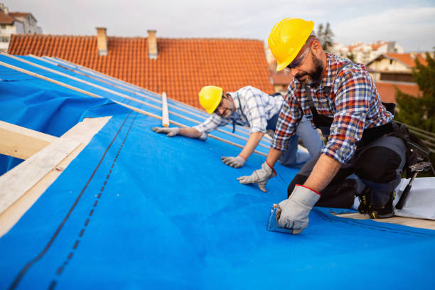 Best Roof Restoration Services  in Fairmount, TN