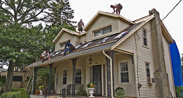 Best Roof Maintenance Services  in Fairmount, TN